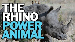 The Rhinoceros Power Animal