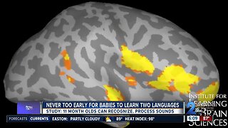 Study shows its never too early for children to learn multiple languages