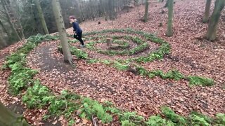 Another Surprise - Spirals in the Forest