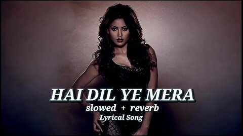 Hai Dil Ye Mera Lofi Lyrical Song || Hate Story Song || Love Romantic Song || Invisible Mine