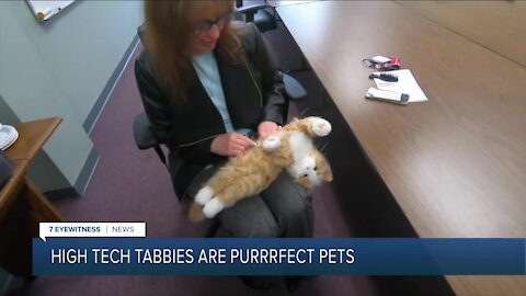 Spectrum Health discovers the "Purrrfect Pets" for their clients