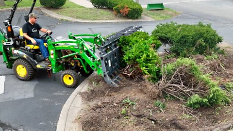 Can this TINY Subcompact Tractor Push Out 30 Yr Old Bushes??