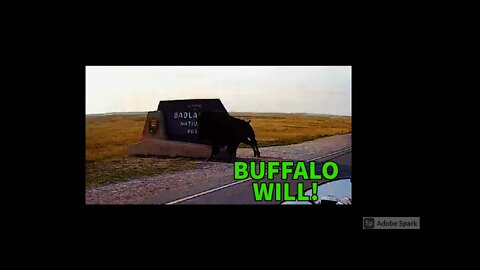 National Parks USA- Badlands SD Sturgis | Bike Riding Vlog By Veteran Biker