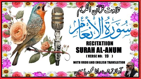 Surah Al-Anum Verses 19 خوبصورت تلاوت سورہ اَلْاَ نْعَام اردو اور انگریزی ترجمہ کے ساتھ