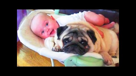 WATCH THIS! Baby Dogs Cute and Funny Video Compilation || 2021