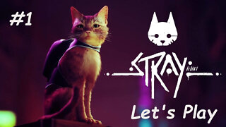 Let's Play - Stray - Part 1