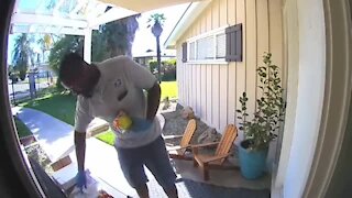 USPS Driver's Priceless Reaction To Snacks Left by Homeowner
