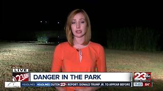 Boy bit by rattlesnake at Hart Park