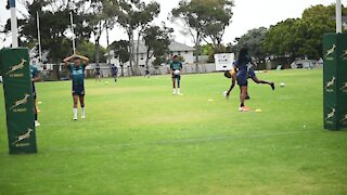 SOUTH AFRICA - Cape Town - Sevens Team media day (video) (eqq)