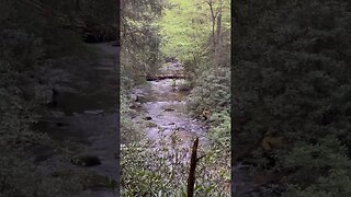 Amazing Sounds from Chester Creek! Campsite in North Georgia near Appalachian Trail #shorts