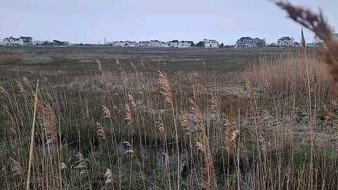 Relaxing Ocean City Maryland The Marsh April 7th 2024