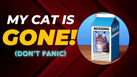 My Cat Is Missing (NOW WHAT!?!)