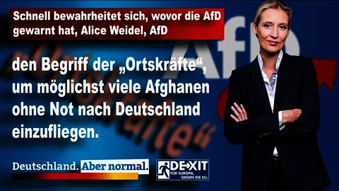 Schnell bewahrheitet sich, wovor die AfD gewarnt hat. Alice Weidel AfD