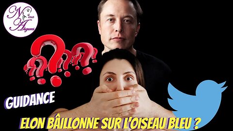 Elon bâillonne sur l'oiseau bleu ? 03/07/2023