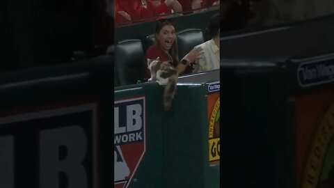 Is it a Rally Cat in the stands? 🤣 Diamondbacks and Angels game July 1, 2023