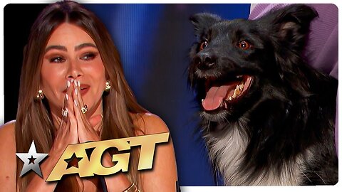Dogs' Got Talent! The Most ADORABLE Dog Auditions from Got Talent 2024!