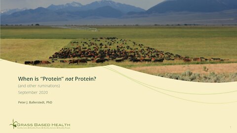 When is "Protein" NOT Protein (& other ruminations)