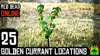 Red Dead Redemption 2 Online - GOLDEN CURRANT LOCATIONS