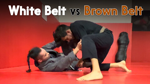 White Belt vs Brown Belt Adrian A. | Circadian MMA (10-18-2022)