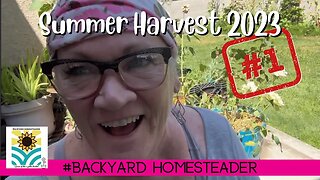 Summer Harvest 2023 No 1