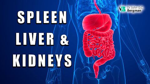 Spleen, Liver & Kidneys, The Source Of Health