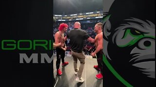 Petr Yan vs Sean O’Malley: UFC 280 Face-off
