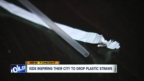 Ashtabula kids working to change city rules on plastic straws