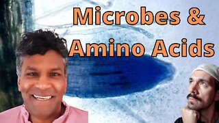 Microbes & Amino Acids Are Biostimulants