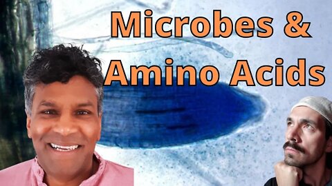 Microbes & Amino Acids Are Biostimulants