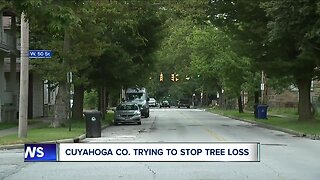 Cuyahoga county trying to stop tree loss