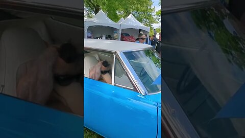 1970 Plymouth Superbird at the Greenwich Concours d'Elegance 2023