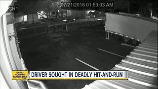 Tampa Police looking for driver behind deadly hit-and-run crash involving a skateboarder