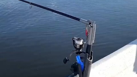 AUTOMATIC SELF-SETTING FISHING ROD