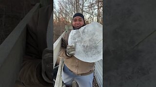 Ice breaker #2023 love chucking these giant hunks of ice! - Hawaiian guy finds giant junk of Ice #3