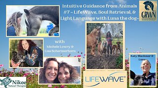 #7 Lifewave, Soul Retrieval &amp; Light Language – LIVE communication from Luna the Dog
