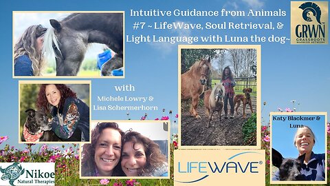 #7 Lifewave, Soul Retrieval &amp; Light Language – LIVE communication from Luna the Dog