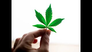 Cannabis Literacy -An Essay by Tere Joyce -Bonus Podcast