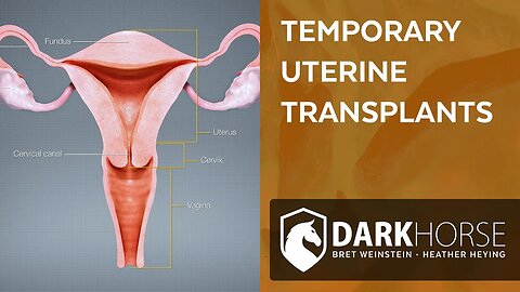 The history behind uterine transplants (from Livestream #188)