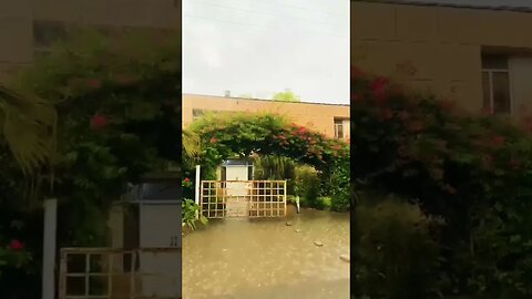 University of #peshawar #shortsyoutube #short #shortsvideo #raining