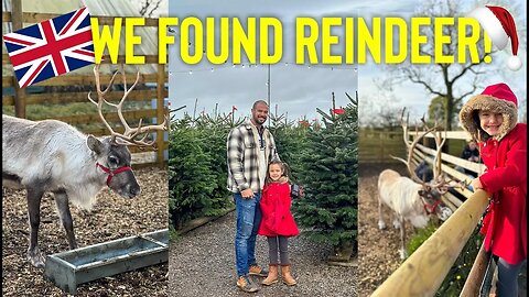 Hunting for REINDEER & Christmas Trees in The UK