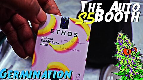 The Auto Booth S5 Ep. 1 | Germination | Ethos Autos For The Complete Experience