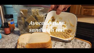 Avocado tuna taste test