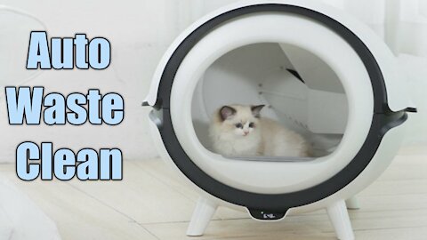 A Cat Box Tech That Automatically Clean your Cat Waste