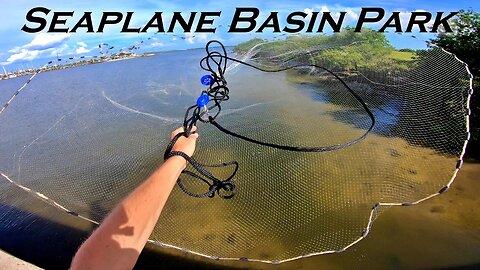 Catching Bait off the Seawall in Tampa Bay