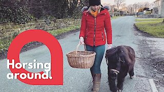 Shetland pony delivers supplies to the vulnerable