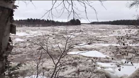 Deslizamento ártico em rio no Canadá
