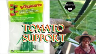 Addtional Tomato Support - 17Jun22