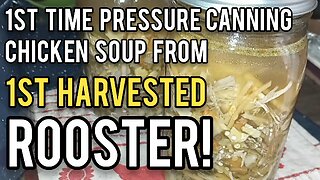 1st Time Pressure Canning my 1st Harvested Rooster! - Ann's Tiny Life and Homestead