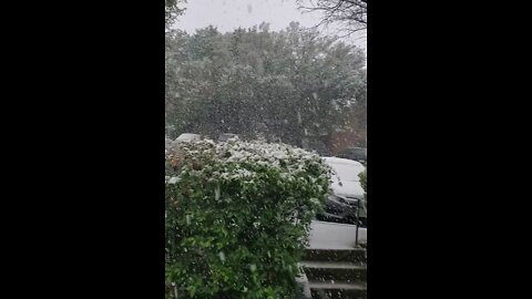 Snowing 🌨 in Austin Texas