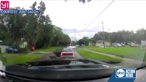 WATCH | Dashcam video catches dog being abandoned outside of car